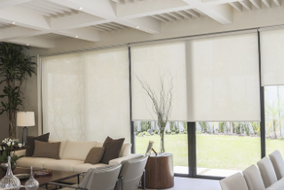 ROLLER SHADES roller shades Classic Window Dreams